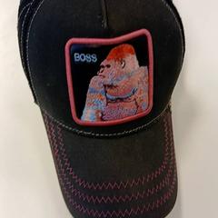 Kleding - Pet، كما تم الإبلاغ عنه بواسطة Centraal magazijn عبر iLost