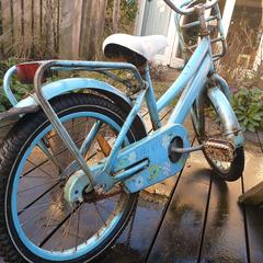 Kleine kinderfiets, ha sido reportado a iLost