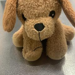 كنوفل، كما تم الإبلاغ عنه بواسطة IKEA Haarlem عبر iLost