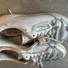 Sneakers wit, as reported by ACTA using iLost