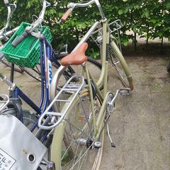 Fiets  licht groen dames veloretti, som rapporterats till iLost