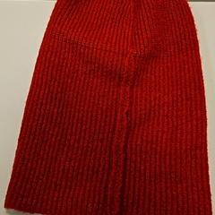 Beanie, jak nahlášeno Vrije Universiteit Amsterdam pomocí iLost