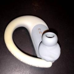 Öronpropp, rapporterat av TivoliVredenburg med iLost