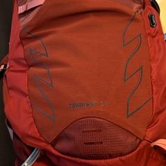 배낭, iLost를 사용하여 RET에 보고됨