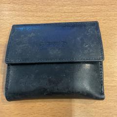 Carteira op naam van Rybak, segundo informou Gemeente Amsterdam usando iLost