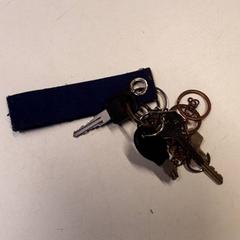 Llavero, ha sido reportado por Qbuzz ZHN con iLost