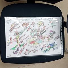 Debuxo, segundo informou Qbuzz GD Groningen Peizerweg usando iLost