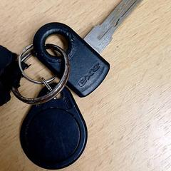 Llaves, ha sido reportado por Qbuzz GD Groningen Peizerweg con iLost