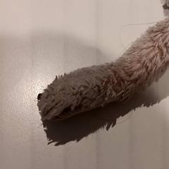 Knuffel, segundo informou De Efteling usando iLost