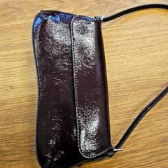 Bag, as reported by GVB using iLost