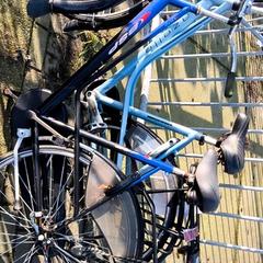 Women’s bike Bsp, as reported by Stadswerk072 using iLost