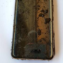 Mobiele telefoon, segons ha informat DierenPark Amersfoort mitjançant iLost