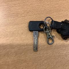 Bicycle key, as reported by Gemeente Amsterdam using iLost