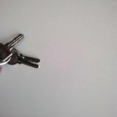 Key, as reported by Twisto using iLost