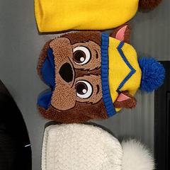 Mutsen, iLost를 사용하여 Qbuzz GD Groningen HS에 보고됨