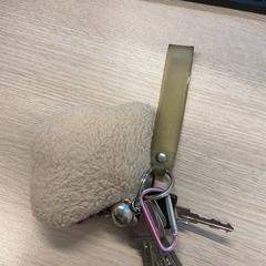 Chaveiro, segundo informou Gemeente Arnhem usando iLost