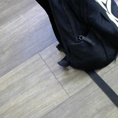 Ryggsäck, rapporterat av Walibi Holland med iLost