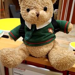 Orsetto coccoloso avec un sac à dos, come riportato da IKEA Caen Fleury-sur-Orne utilizzando iLost