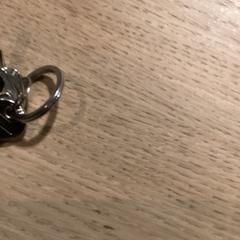 Anell Sleutelbos, segons ha informat Poppodium 013 mitjançant iLost