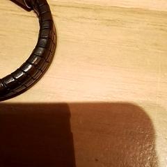 Armband, zoals gemeld door Beekse Bergen Resorts en Hotel met iLost