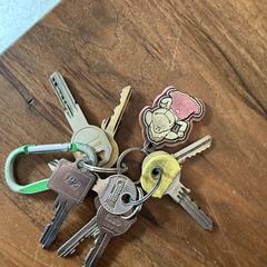 Sleutels, segundo informou a iLost