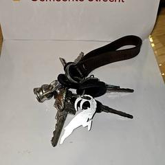 Clauer Sleutelbos, segons ha informat Gemeente Utrecht mitjançant iLost