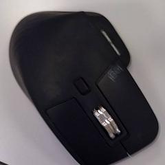 Rato Grijs, como reportado por Vrije Universiteit Amsterdam utilizando o iLost