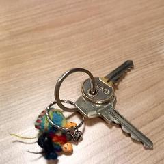 Klucze, zgłoszono przez RRReis Veluwe Zuid - Ede przy użyciu iLost