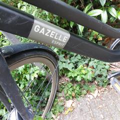 Fiets Gazelle Esprit, iLost에 보고됨