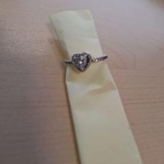 Bague, a été signalé par Alrijne Leiderdorp utilisant iLost