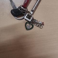 Sleutelbos, som rapporterats till iLost