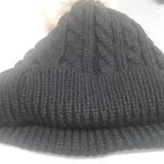 Muts Zwart, como reportado por Arriva Friesland / Groningen utilizando o iLost