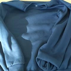 Kleding Trui, zoals gemeld door Regio Limburg - Leuven met iLost