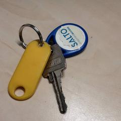 İLost kullanarak Arriva Oost-Brabant tarafından bildirildiği gibi Anahtar