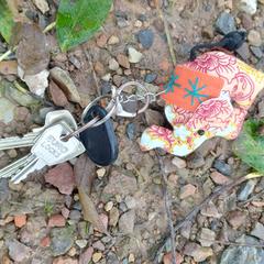 Sleutelbos, gerapporteerd met iLost