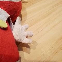 Knuffel, gisa salatu by Beekse Bergen Resorts en Hotel iLost erabiliz