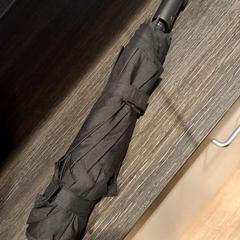 Esernyő, amint azt Arriva Limburg Zuid az iLost segítségével jelentette.