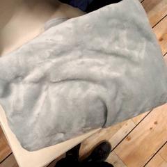 Manta, segons ha informat IKEA Caen Fleury-sur-Orne mitjançant iLost