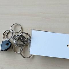 Clé, a été signalé par Regio Oost-Vlaanderen utilisant iLost