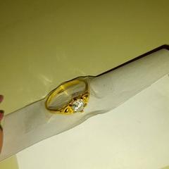 Ringe, som rapportert av Van der Valk Hotel Schiphol ved bruk av iLost