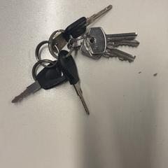 Klíče, jak nahlášeno Pathé Schouwburgplein pomocí iLost