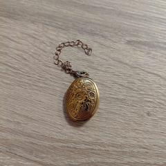 Medaillon, ha sido reportado por EBS OV Poeldijk con iLost