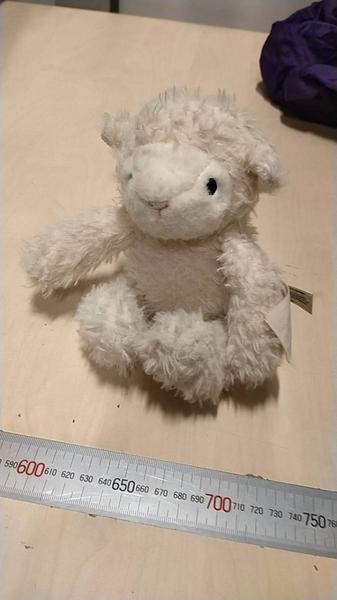 Peluix schaap