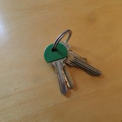 Sleutels, som rapportert til iLost