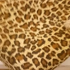 Tasje, as reported by RRReis IJssel-Vecht using iLost