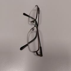 Bril Zwart pootjes, iLost를 사용하여 Vrije Universiteit Amsterdam에 보고됨