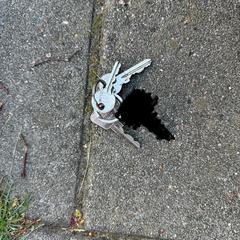 Sleutels/sleutelbos, gerapporteerd met iLost