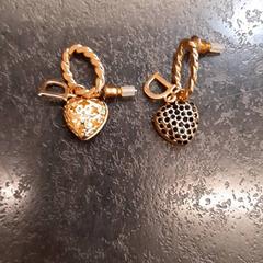 Boucles d'oreilles, a été signalé par Rotterdam The Hague Airport utilisant iLost