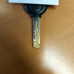 Chiavi, come riportato da Centraal magazijn utilizzando iLost