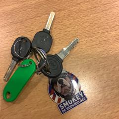 Sleutelbos, ha sido reportado por Gemeente Amsterdam con iLost